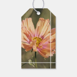 Etiqueta Para Presente Flores Retrô de Verão Cosmea