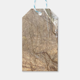 Etiqueta Para Presente floresta de inverno