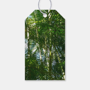 Etiqueta Para Presente Floresta de Palmeiras Natureza Tropical