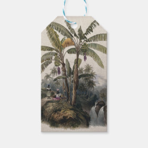 Etiqueta Para Presente Floresta Tropical Antiquada de Banana Vintage Bo