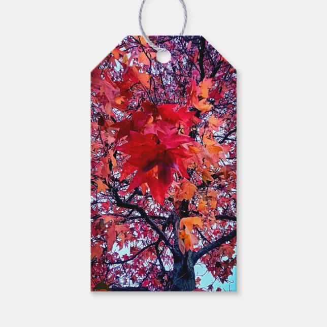 Etiqueta Para Presente Folhas de outono brilhantes (Frente)