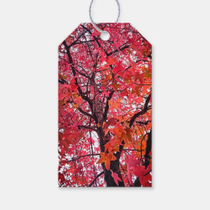 Etiqueta Para Presente Folhas rosa
