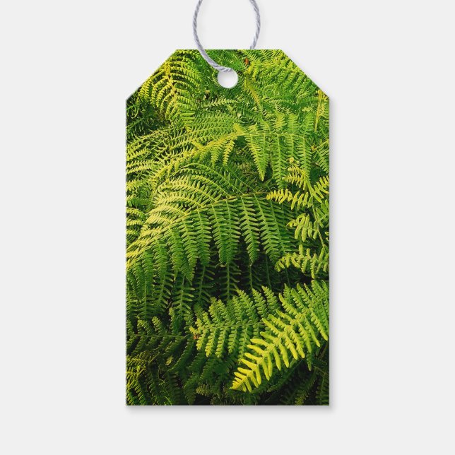 Etiqueta Para Presente Folhas verdes (Frente)