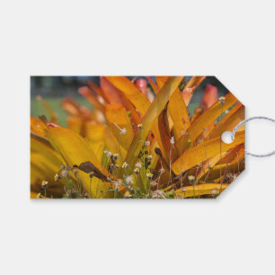 Etiqueta Para Presente Foto da Paisagem Havaiana