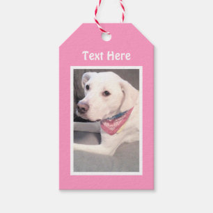 Etiqueta Para Presente Foto de Labrador Branco e Bonito, Mix Cachorro, Ta