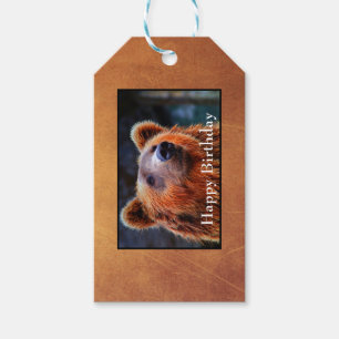 Etiqueta Para Presente Foto dos animais selvagens do retrato do urso de