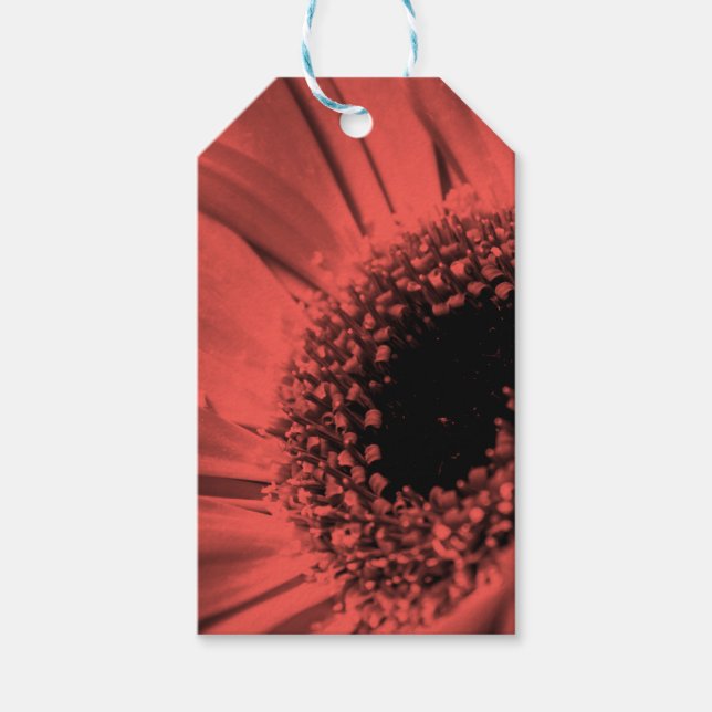 Etiqueta Para Presente Foto, macro (Frente)