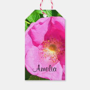 Etiqueta Para Presente Foto Rosa Rosa Selvagem Fidedigna no Verso da Bíbl