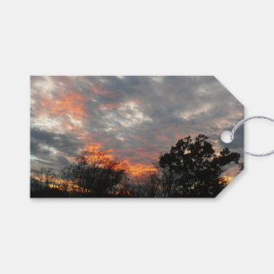 Etiqueta Para Presente Fotografia da paisagem solar do inverno