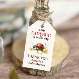 Etiqueta Para Presente Garden Floral Daisy Little Ladybug Baby Shower
