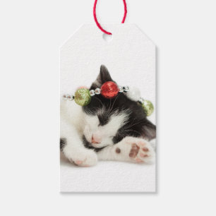 Etiqueta Para Presente Gatinho da manhã de Natal