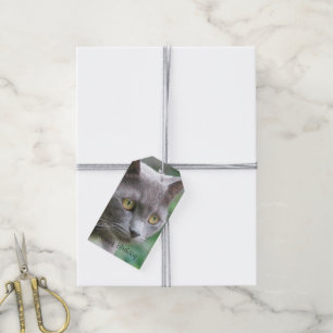 Etiqueta Para Presente Gato de cinza