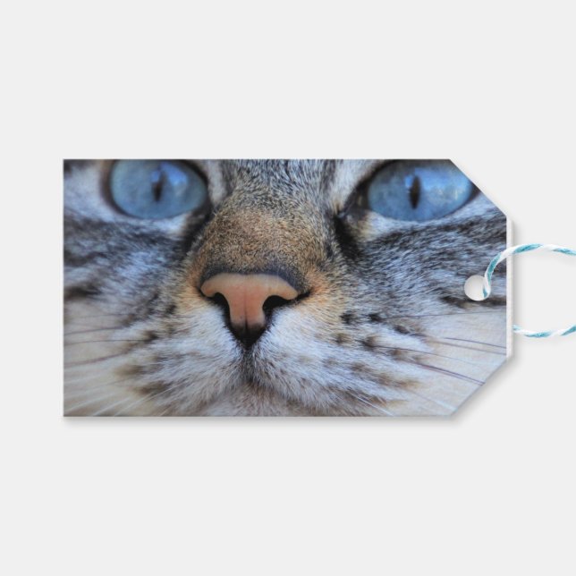 Etiqueta Para Presente Gato de cinza (Frente (horizontal))