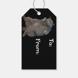 Etiqueta Para Presente Gato de Gordura Curta Britânica, Deitado nas costa