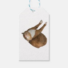 Etiqueta Para Presente Gato de Sol de Cabeça para Baixo