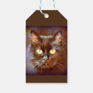 Etiqueta Para Presente gato preto