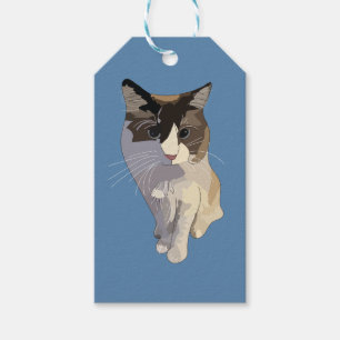Etiqueta Para Presente gato Ragdoll, Azul Empoeirado