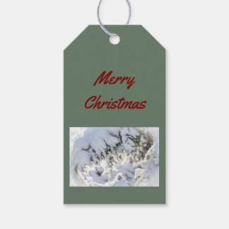 Etiqueta Para Presente Gift Tag: Christmas Snow on Evergreen