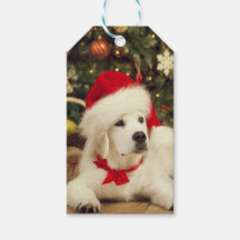 GIFT TAG WHITE Labrador com chapéu de Papai Noel