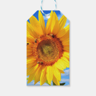 Etiqueta Para Presente Girassol Amarelo e Abelhas no Céu Azul - Dia do V
