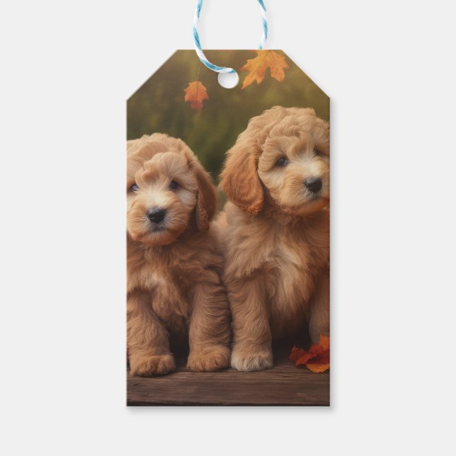 Etiqueta Para Presente Goldendoodle Puppy Autumn Delight Pumpkin (Frente)