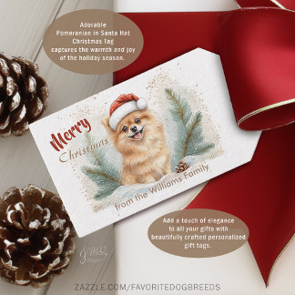 Etiqueta Para Presente Gorro de Papai Noel de Pomerânia Aconchegante Etiq