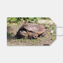 Etiqueta Para Presente Grande cara