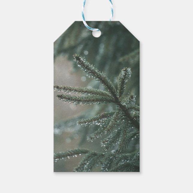 Etiqueta Para Presente Green spruce tree close-up, Christmas aesthetic (Frente)