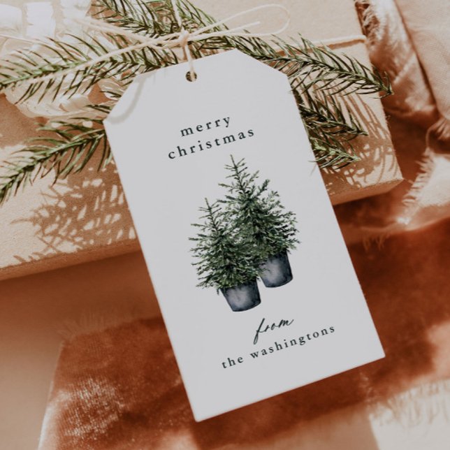 Etiqueta Para Presente Hand-painted Potted Christmas Trees Holiday  (Elegant hand painted potted Christmas trees holiday gift tags.)