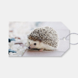 Etiqueta Para Presente Hedgehog Baby
