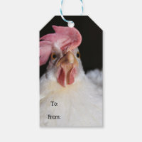 Hen