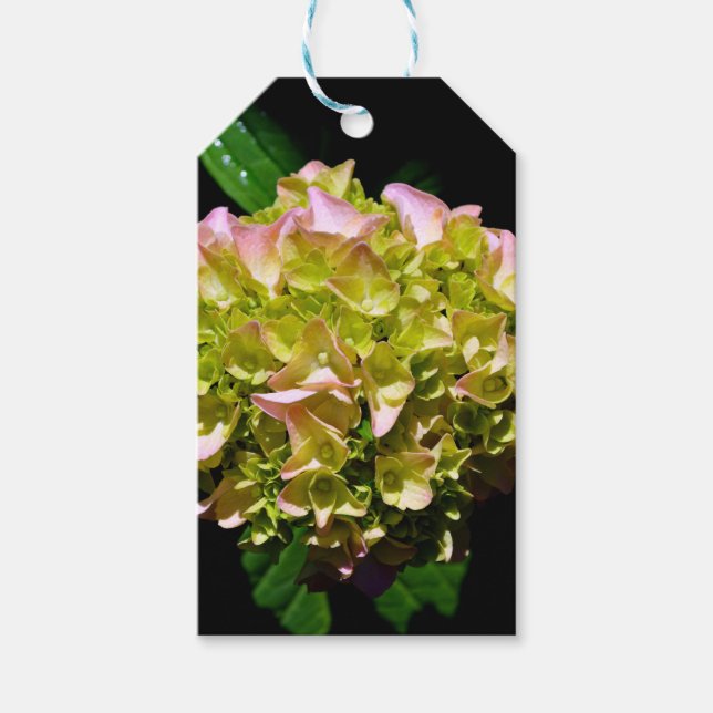 Etiqueta Para Presente Hídrangas florais cor-de-rosa-verde-esverdeado Ele (Frente)