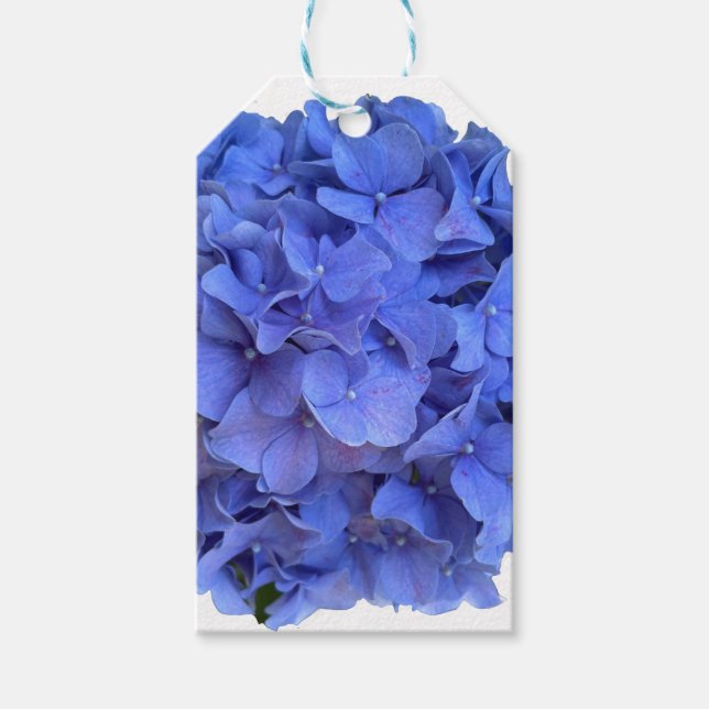 Etiqueta Para Presente Hídrangas florais do periwinkle azul Elegante (Frente)