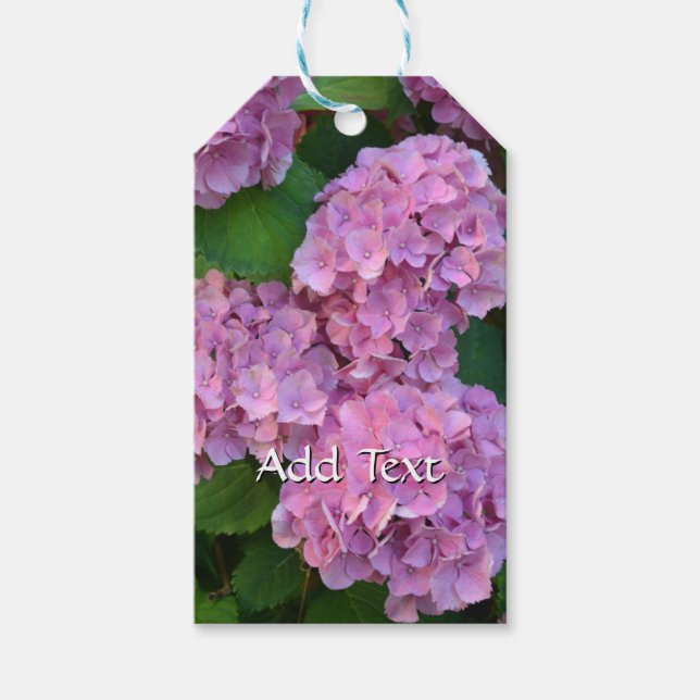 Etiqueta Para Presente Hortensia Elegante e russa Hydrangea macrophylla (Frente)