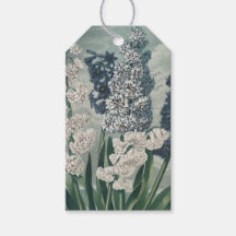 Hyacinths (1807) - Exquisite Vintage Botânica