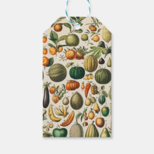 Etiqueta Para Presente Ilustração Científica Botânica Vegetal fruta