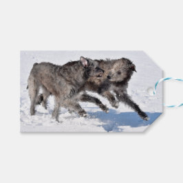 Etiqueta Para Presente Irish Wolfhounds corre em neve
