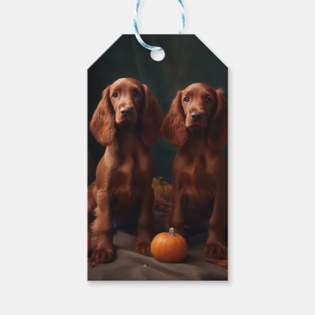 Etiqueta Para Presente Irlandês Red Setter Puppy Autumn Delight Pumpkin (Frente)