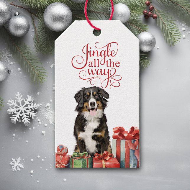 Etiqueta Para Presente Jingle All Way Bernese Mountain Dog Natal (Criador carregado)
