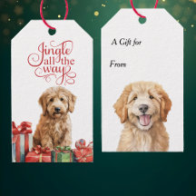 Jingle All Way Goldendoodle Dog Natal