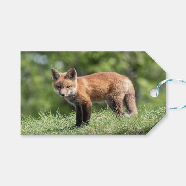 Etiqueta Para Presente Jogo do Fox vermelho (Frente (horizontal))