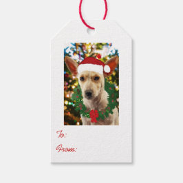 Etiqueta Para Presente Joy para o Puppy