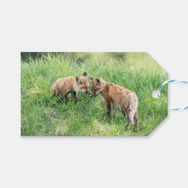 Etiqueta Para Presente Kits de Raposa Vermelha (Frente (horizontal))
