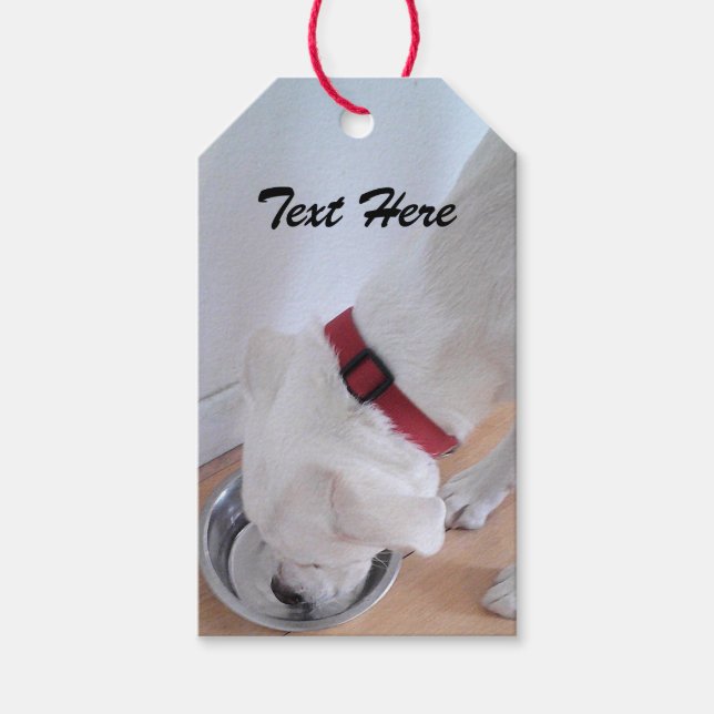 Etiqueta Para Presente Labrador Branco-Bonito Misturar Água Bebendo Cão-C (Frente)