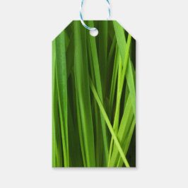 Etiqueta Para Presente Lâminas de gramíneas