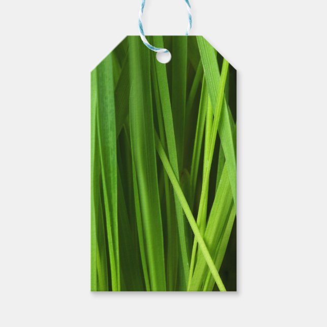 Etiqueta Para Presente Lâminas de gramíneas (Frente)