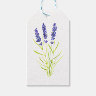 Etiqueta Para Presente Lavanda herbácea Lavanda flores aquarela