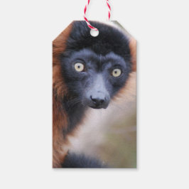 Etiqueta Para Presente Lemur Vermelho Rufado