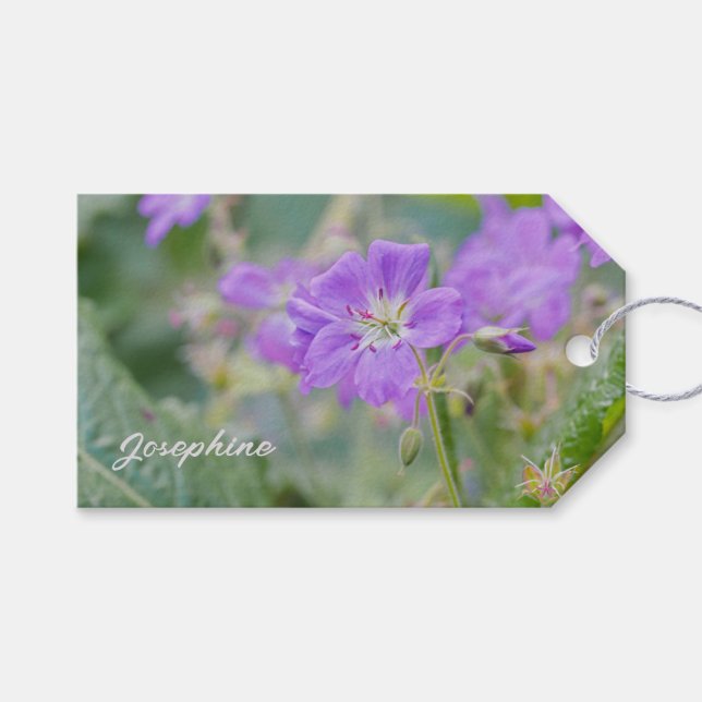 Etiqueta Para Presente Lilac Wildflower Photo Geranium Botanic Flower (Frente (horizontal))