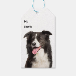 Etiqueta Para Presente Lindo Cachorrinho Border Collie Amante Preto Branc